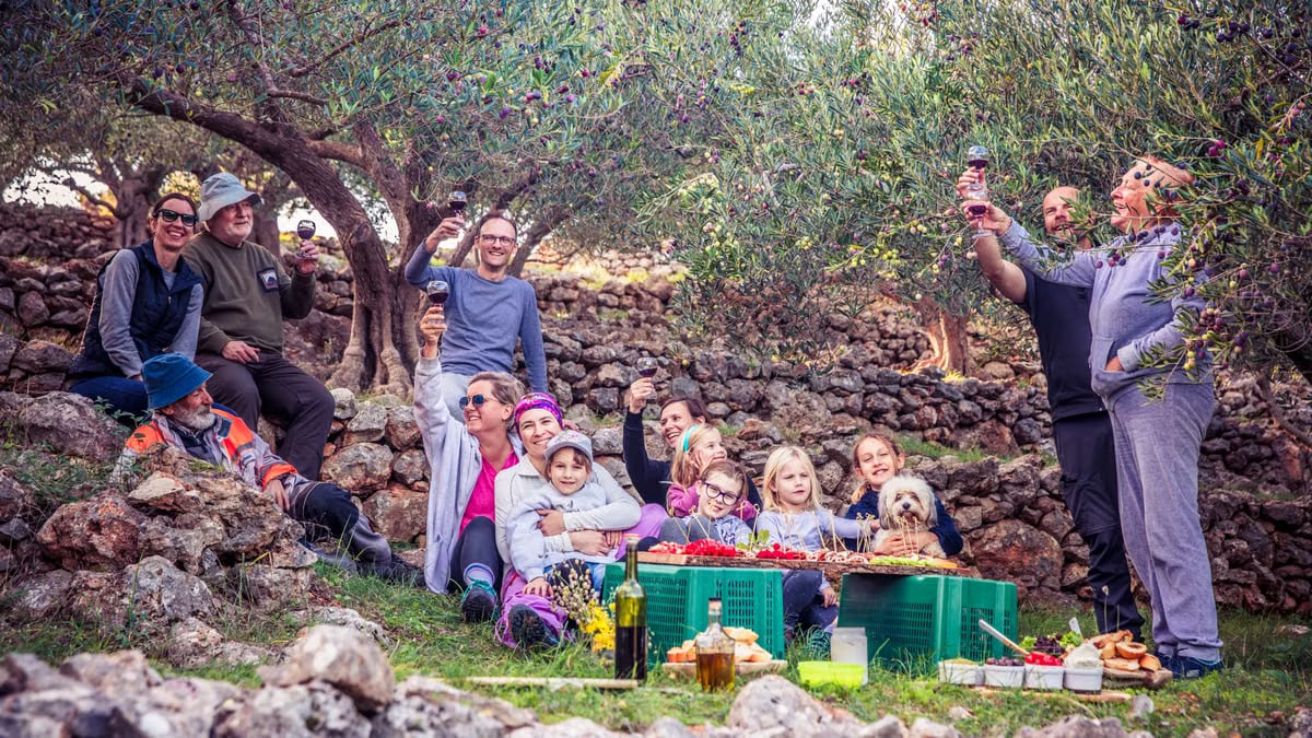 A joyful family gathering in an olive grove enjoying a picnic with wine toasts.